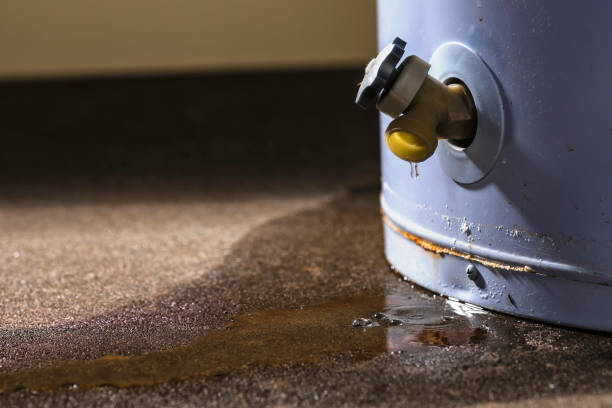 Carpet water damage restoration in Mexico, IN
