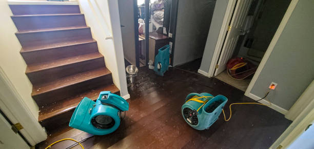 Best Residential water damage restoration  in Mexico, IN
