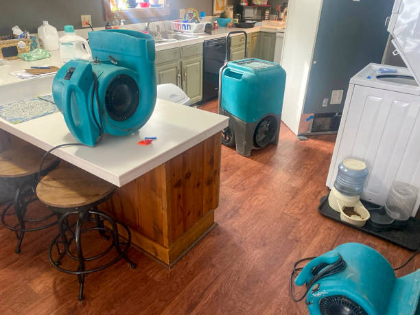 Best Commercial water damage restoration  in Mexico, IN