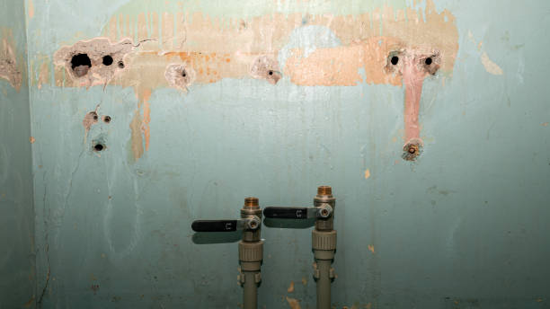 Best Water damage restoration cost  in Mexico, IN