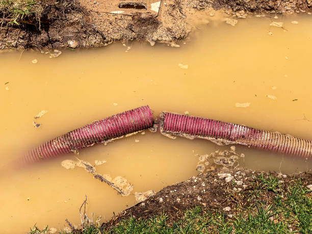 Best Water damage restoration services  in Mexico, IN