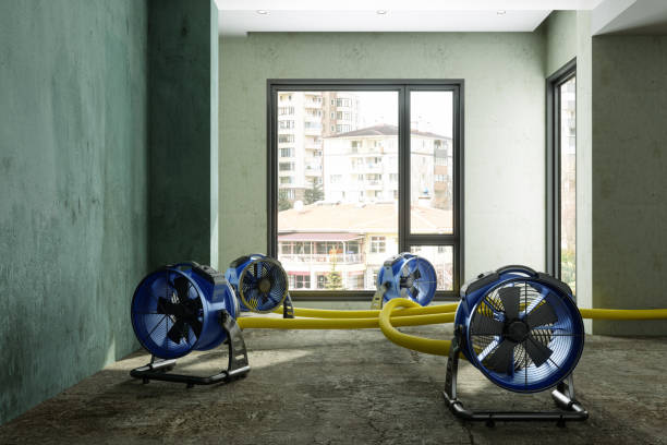 Reliable Mexico, IN Water damage restoration Solutions