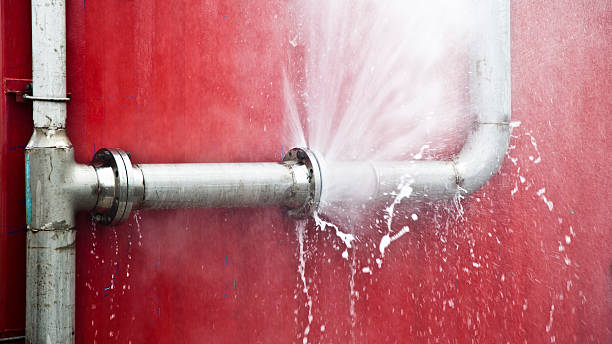 Best Professional water damage repair  in Mexico, IN